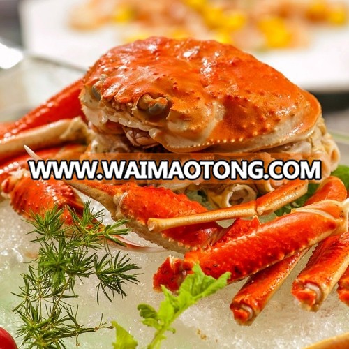 King crab