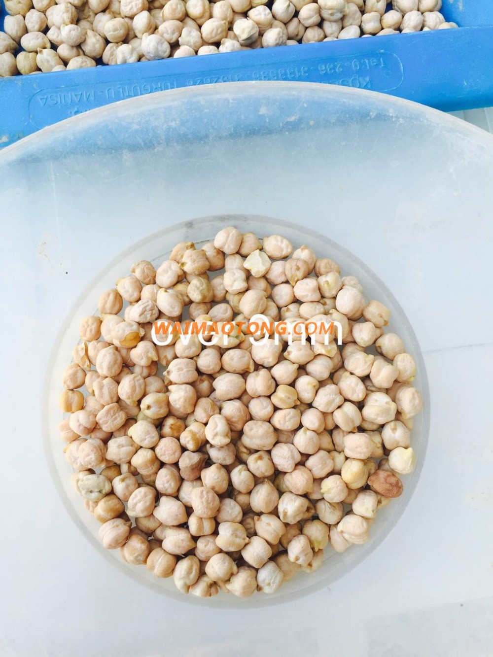 Origin Turkey Chickpeas 8mm for Europe