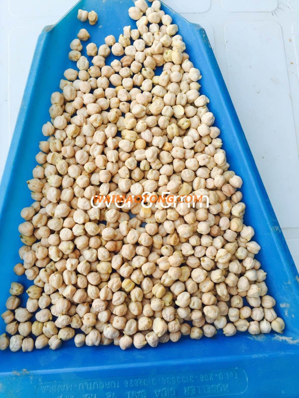 Origin Turkey Chickpeas 8mm for Europe