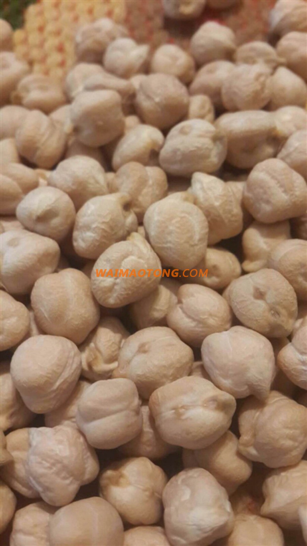 Origin Turkey Chickpeas 8mm for Europe