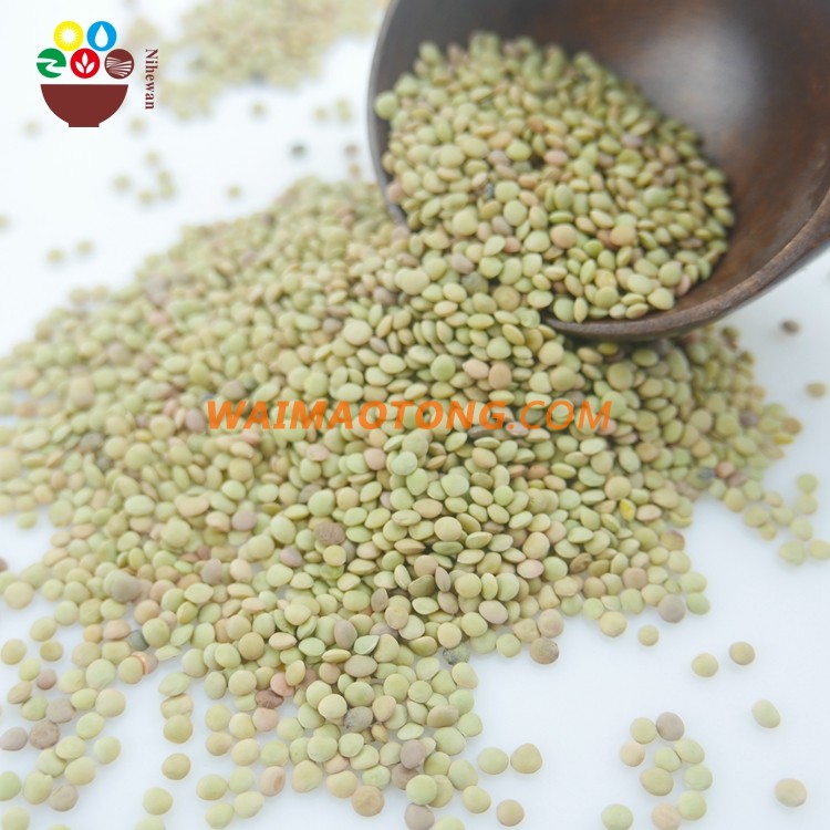 2017 good quality low price bulk dried green lentils for sale