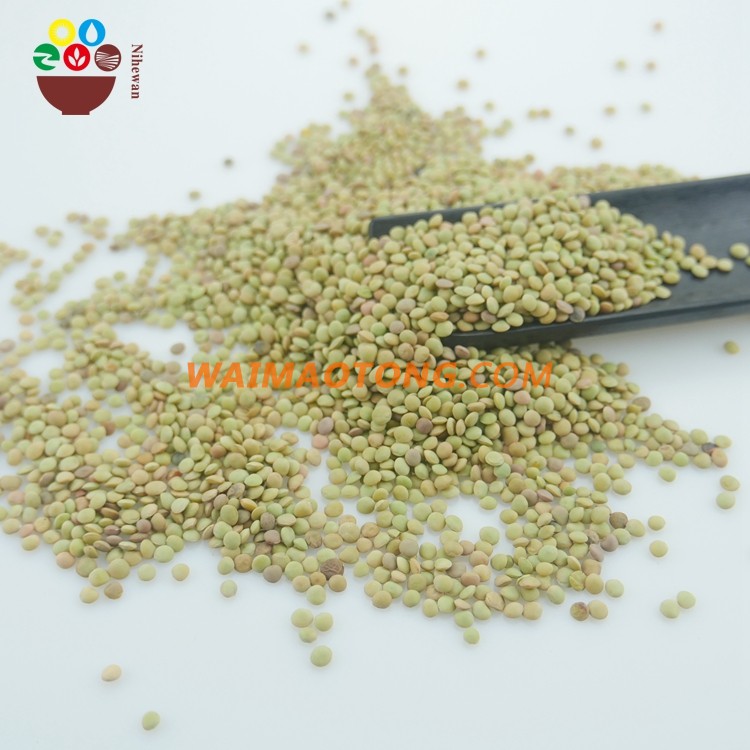 2017 good quality low price bulk dried green lentils for sale