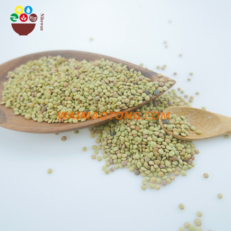 2017 good quality low price bulk dried green lentils for sale