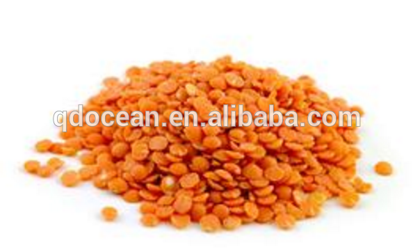 High quality red lentils , red lentils price , red lentils for sale with reasonable price and fast delivery !!