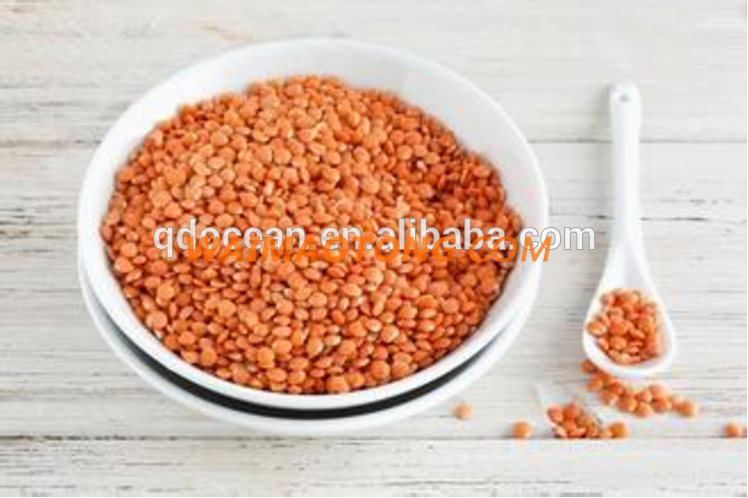 High quality red lentils , red lentils price , red lentils for sale with reasonable price and fast delivery !!