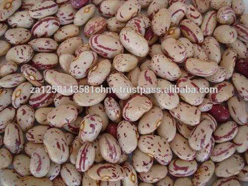 Dried Butter Beans (Lima beans),