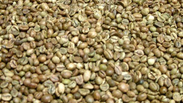 VIETNAM ROBUSTA COFFEE / ARABIA COFFEE BEANS / GREEN COFFEE BEAN( WHATSAPP: 0084 164 9078 009 )