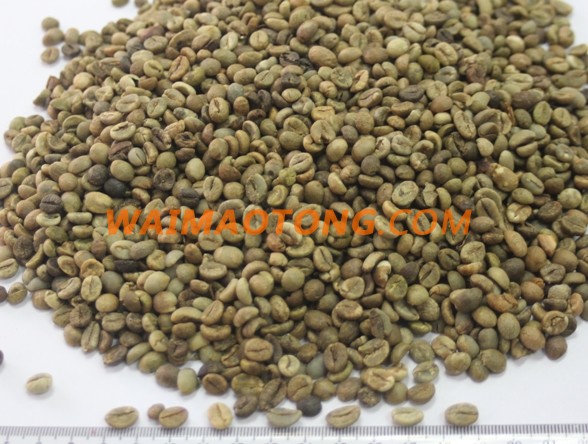 VIETNAM ROBUSTA COFFEE / ARABIA COFFEE BEANS / GREEN COFFEE BEAN( WHATSAPP: 0084 164 9078 009 )