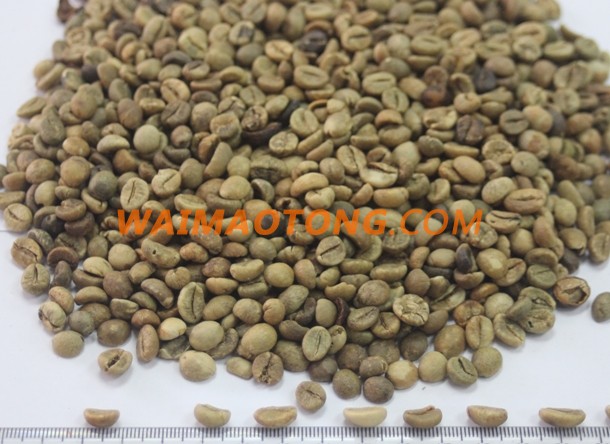 VIETNAM ROBUSTA COFFEE / ARABIA COFFEE BEANS / GREEN COFFEE BEAN( WHATSAPP: 0084 164 9078 009 )