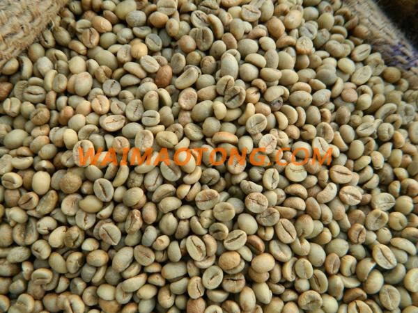 VIETNAM ROBUSTA COFFEE / ARABIA COFFEE BEANS / GREEN COFFEE BEAN( WHATSAPP: 0084 164 9078 009 )