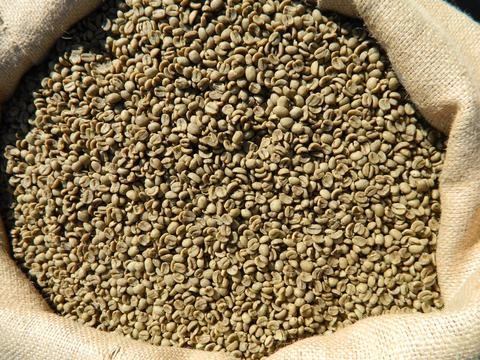 MANUFACTURER VIETNAM UNWASHED ROBUSTA COFFEE S18 cheap price Whatsapp 0084979171029