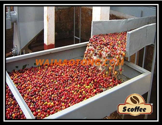 WHOLESALE VIETNAM ROBUSTA COFFEE BEANS BEST PRICE