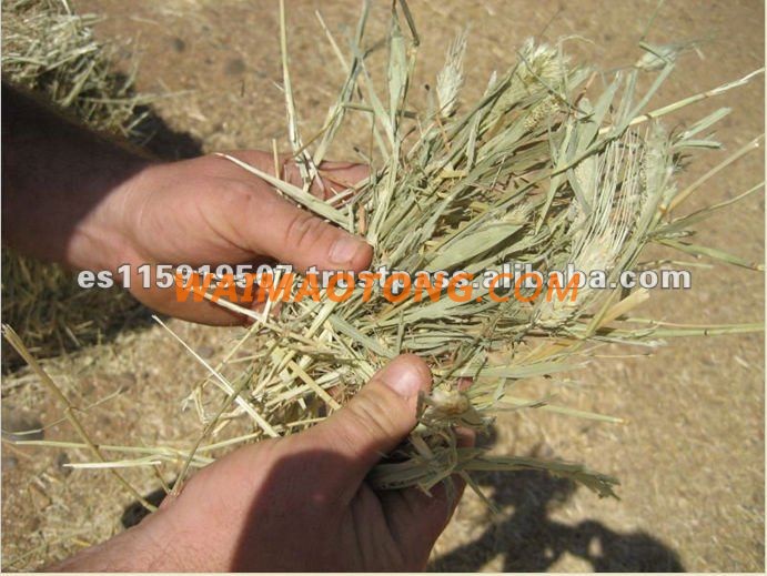 Alfalfa Pellet and Wheat Straw Animal Feed Pellet