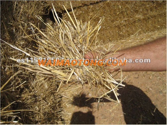 Alfalfa Pellet and Wheat Straw Animal Feed Pellet