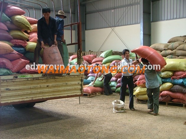 Yellow Corn/Maize for Animal Feed with Competitive Price