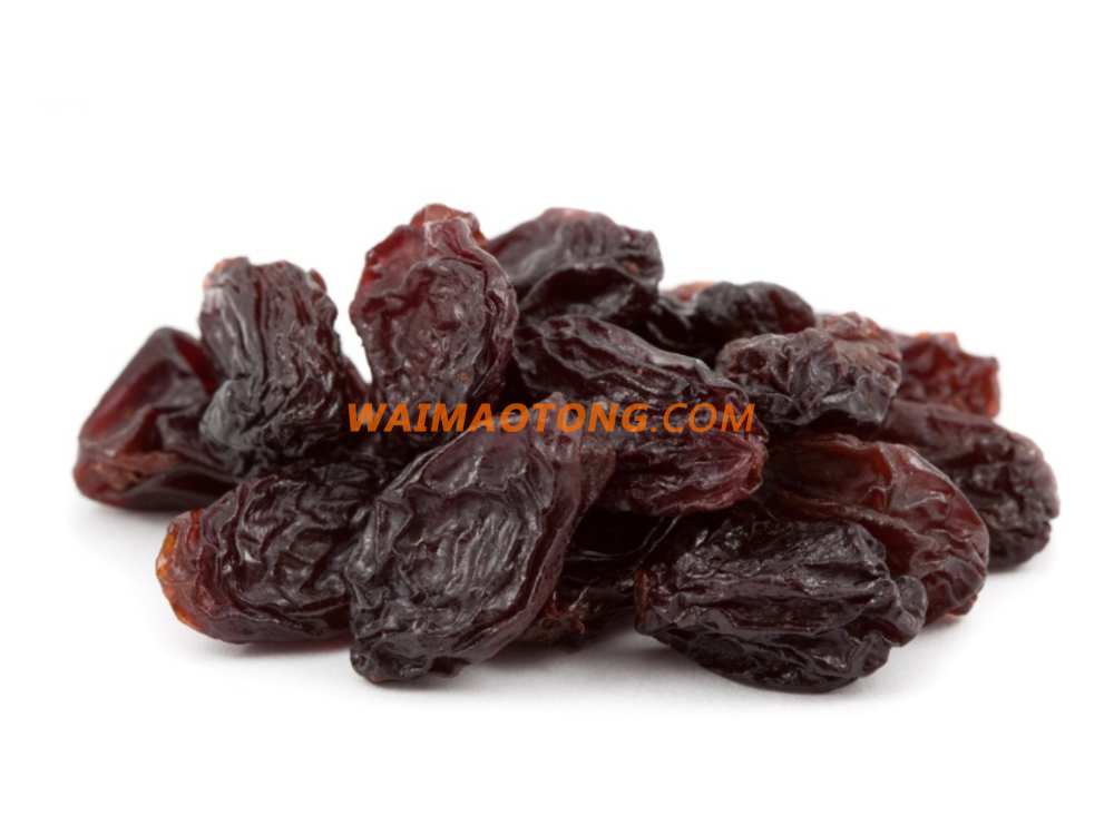 Sun Raisins black brown jumbo raisins wholesale price Dried Raisins