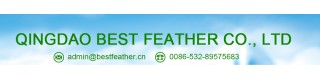 Feather Down cushion for Home/Hotel_Sell