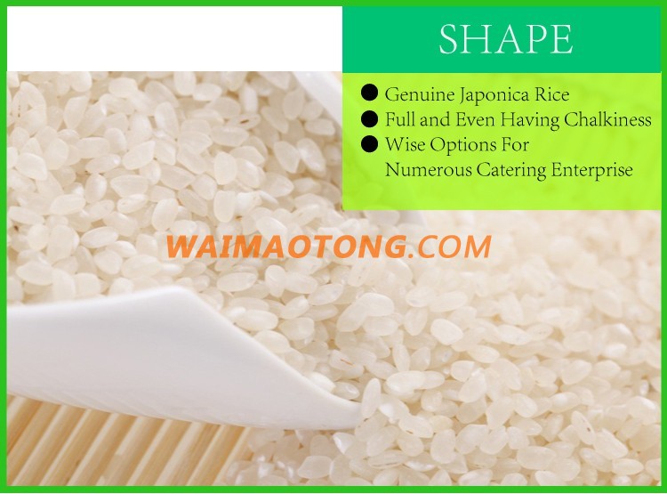 Vietnam/Thai White Rice 100% Broken