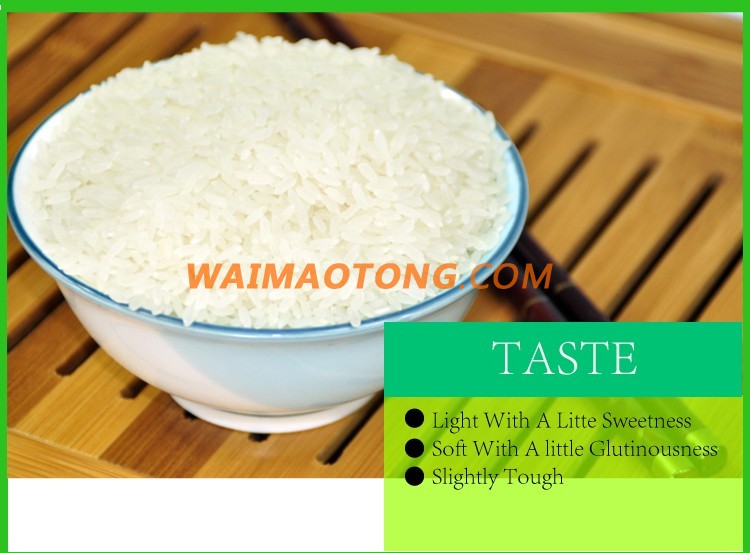 Vietnam/Thai White Rice 100% Broken