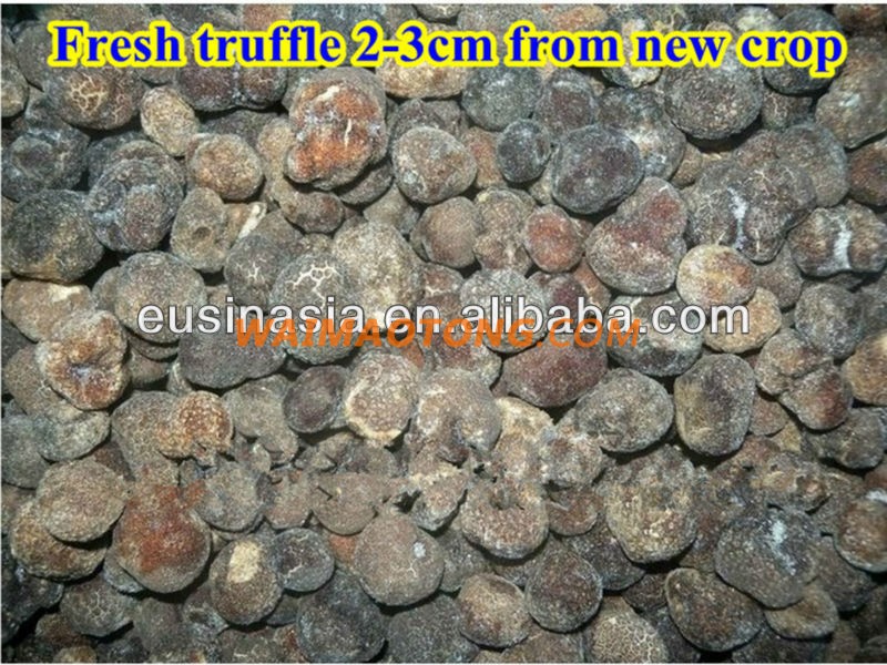 new crop 4-8cm fresh black tuber indicum truffle