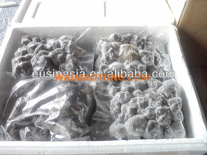 new crop 4-8cm fresh black tuber indicum truffle