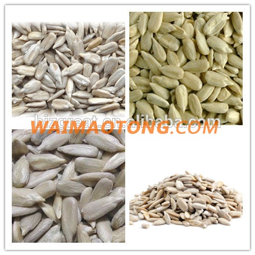 Roasted Salted Sunflower Seeds with good quality