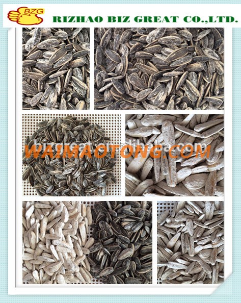 Roasted Salted Sunflower Seeds with good quality