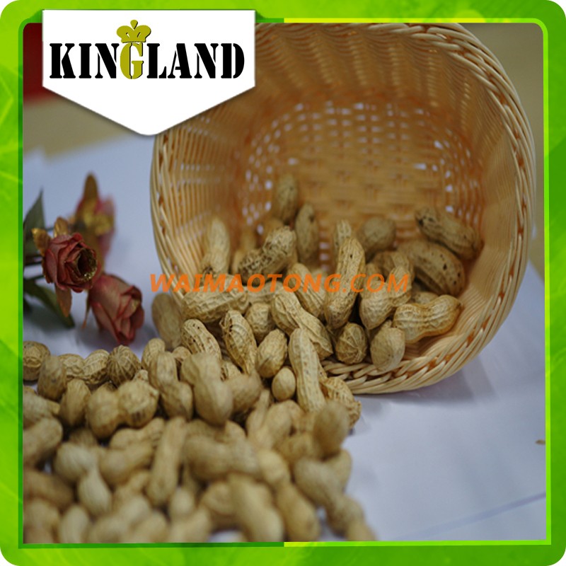 Roasted salted peanuts in shell