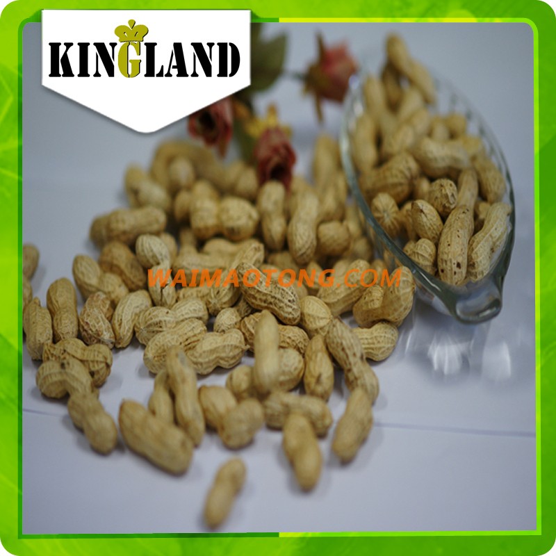 Roasted salted peanuts in shell