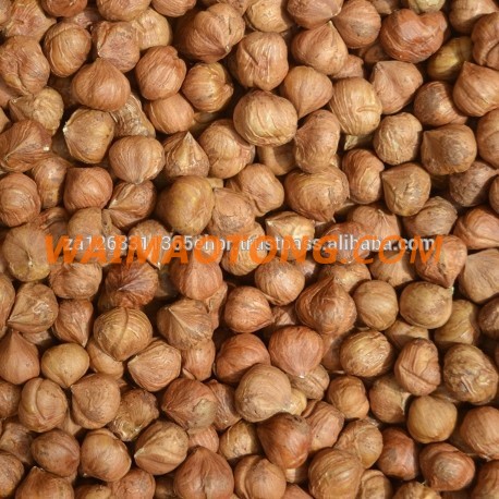 Hazelnuts for sale, Hazelnuts Grade AAA (Best Quality)