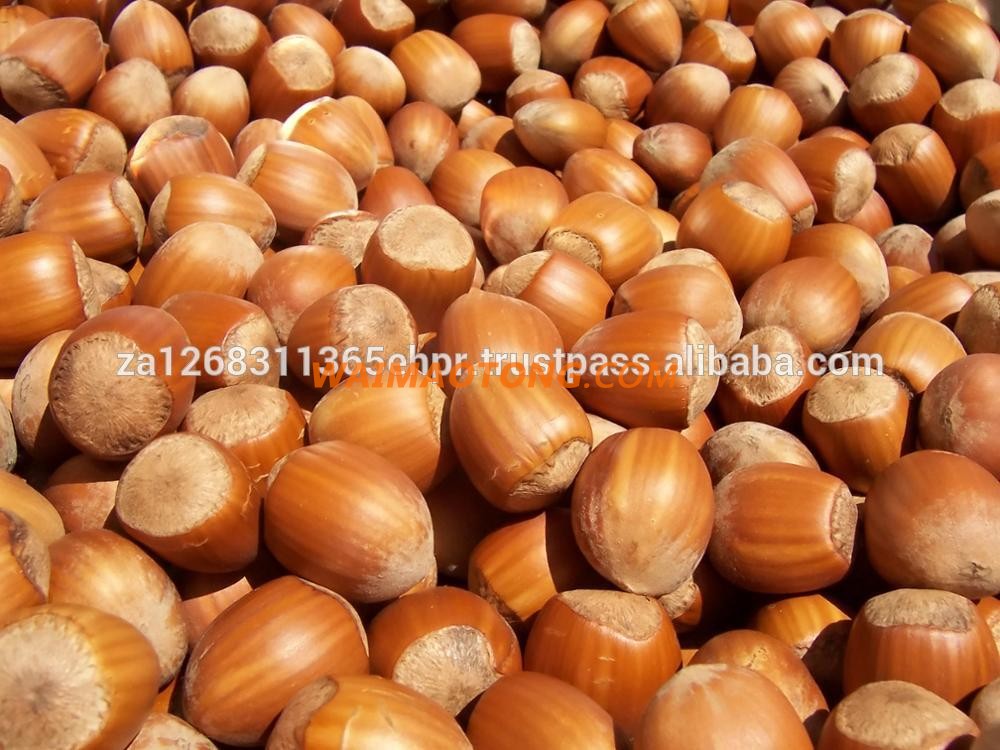 Hazelnuts for sale, Hazelnuts Grade AAA (Best Quality)