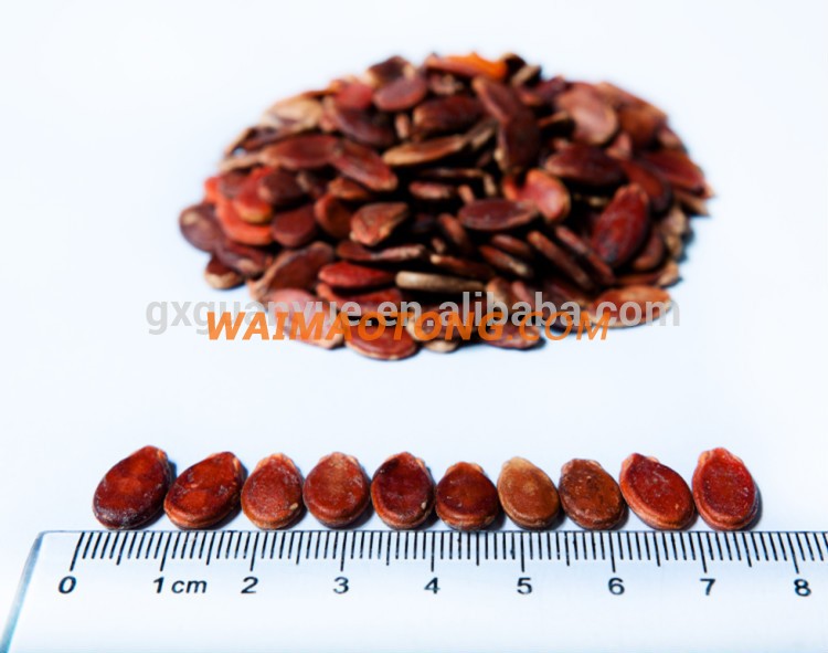 Chinese new harvest sweet melon seeds