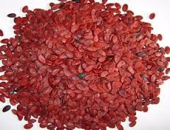 WATER MELON SEED (whatsapp/ viber: 0084 907 886 929)