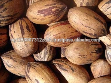 Best Price PECAN NUTS