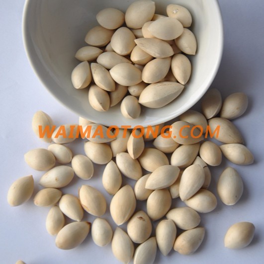 Bai Guo dried Raw Ginkgo Nuts good price Dried Gingko Good Quality