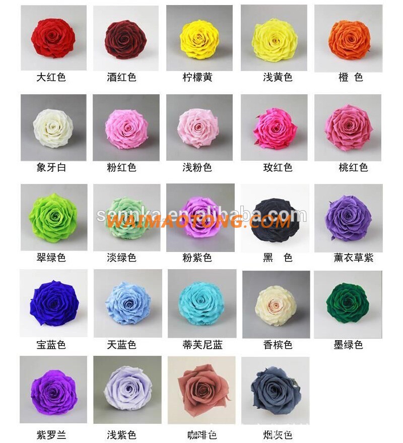 Wholesale Preserved Roses Stems Of Dried Rainbow Rose Flavor