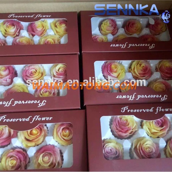 Wholesale Preserved Roses Stems Of Dried Rainbow Rose Flavor