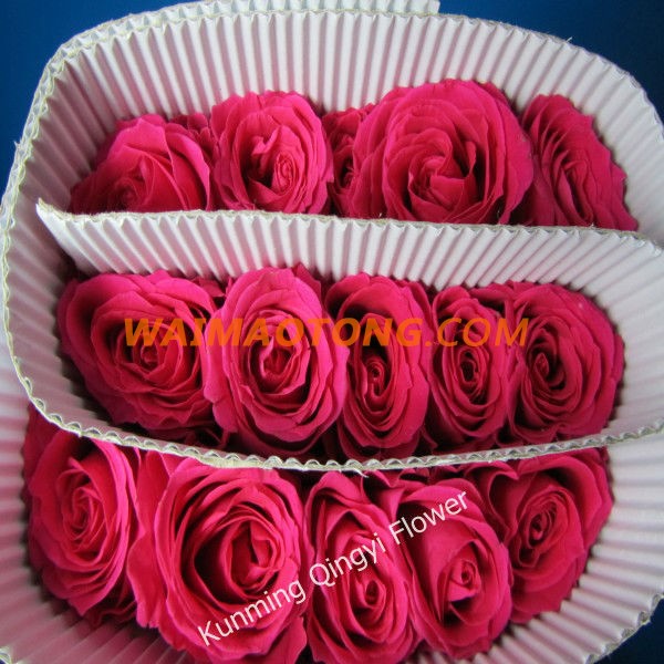 Wholesale Yunnan Natural Rose Flowers Fresh Cut Flower importers