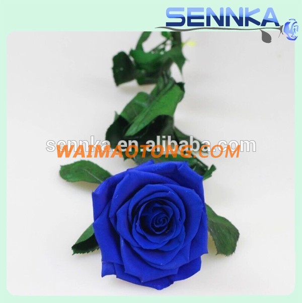 Flower Buyer Natural Rose Long Life Long Stem Preserved in usa