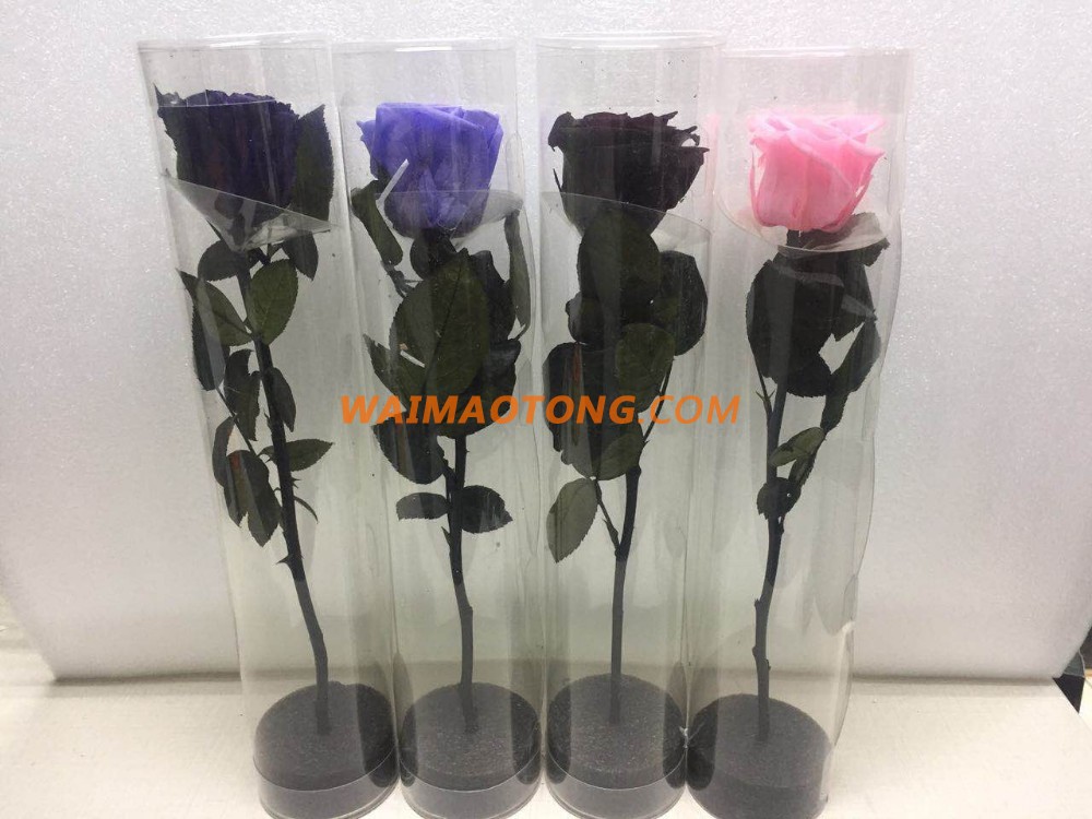 Flower Buyer Natural Rose Long Life Long Stem Preserved in usa