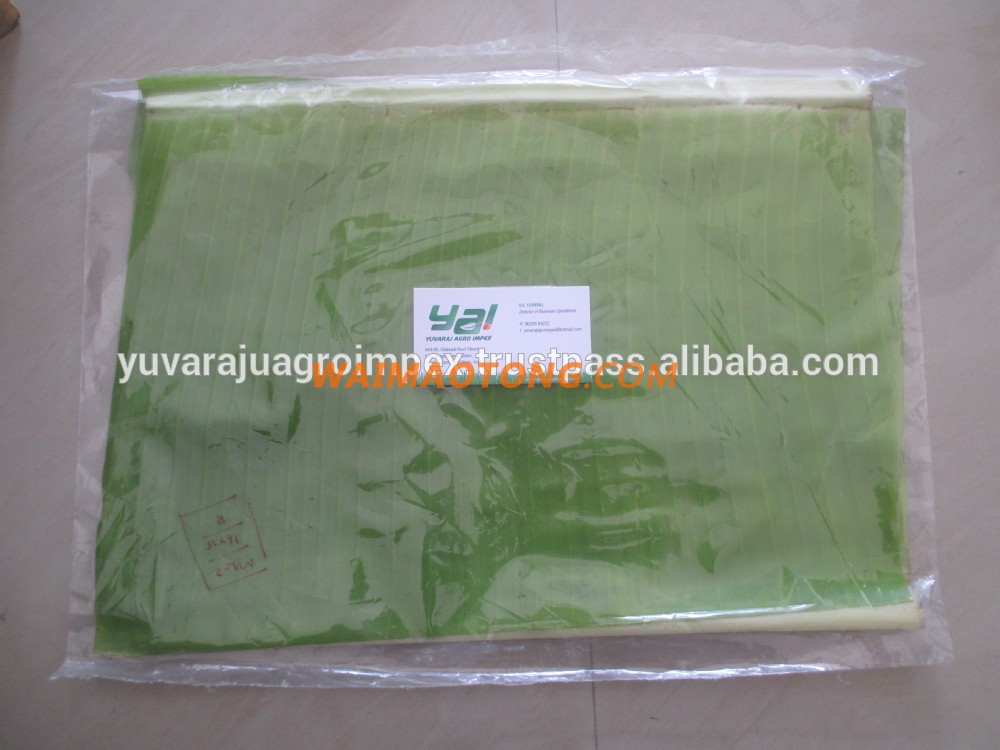 Fresh Banana Leaf Supplier / Manufacturer in Tamilnadu