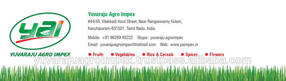 Fresh Banana Leaf Supplier / Manufacturer in Tamilnadu