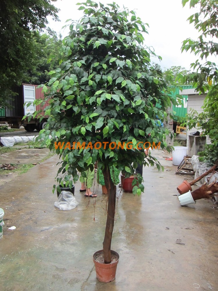 artificial ficus bonsai tree for decoration at home/garden/outdoor/hotel