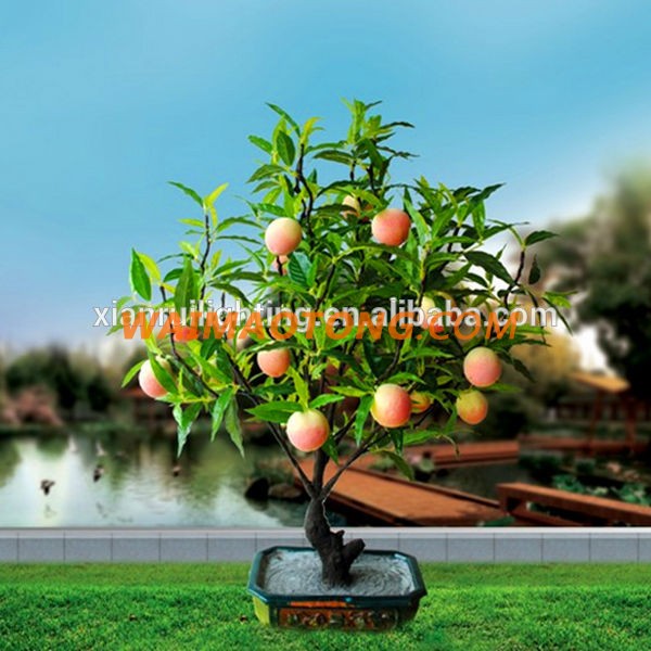 Holiday decorate China manufacturer led fruit bonsai plants for sale