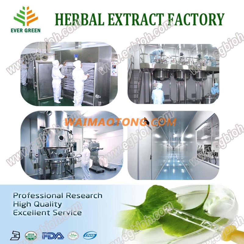 Manufactuer supply DHA oil DHA powder from fish oil