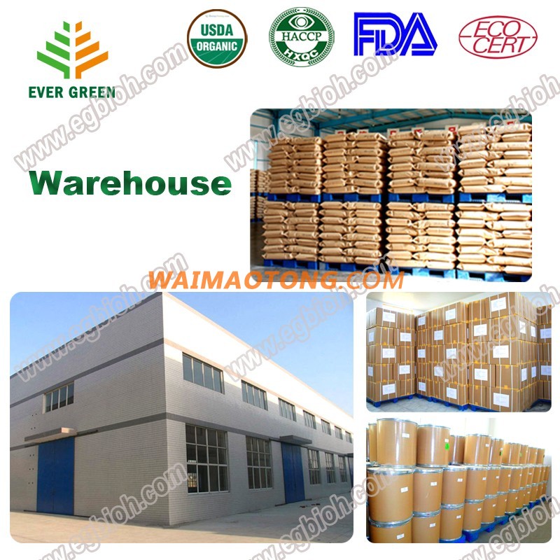 Manufactuer supply DHA oil DHA powder from fish oil