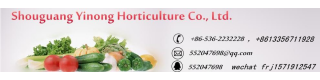 Ku Gua Zhong Zi Health Vegetables Seed For High Quality Bitter Melon Seeds BUMPER F1_Sell