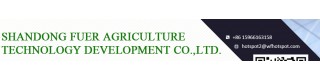 Factory directly sale poly tunnel greenhouse_Sell