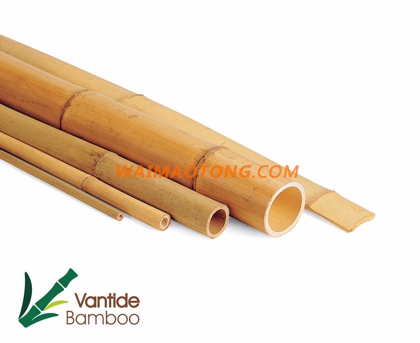 bamboo raw material bamboo pole