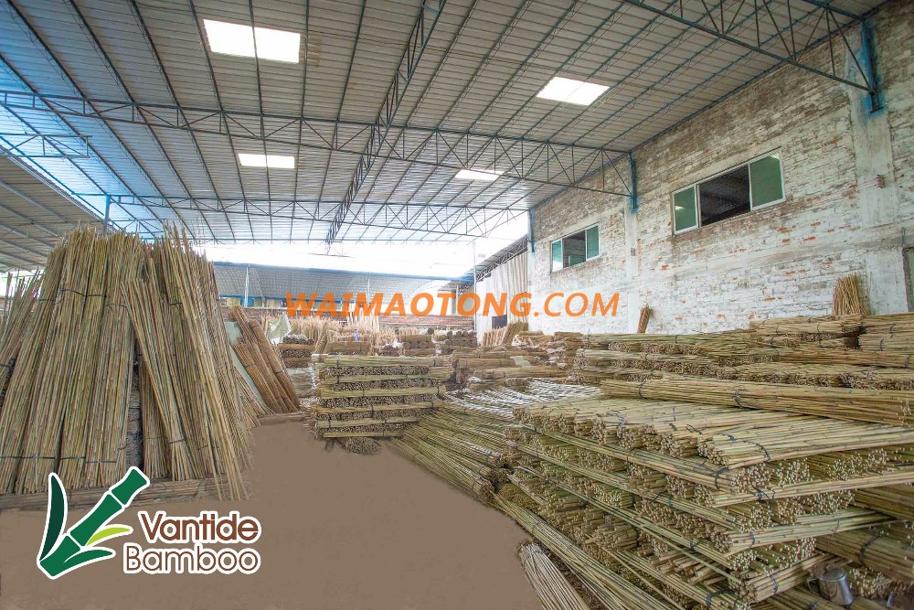 bamboo raw material bamboo pole